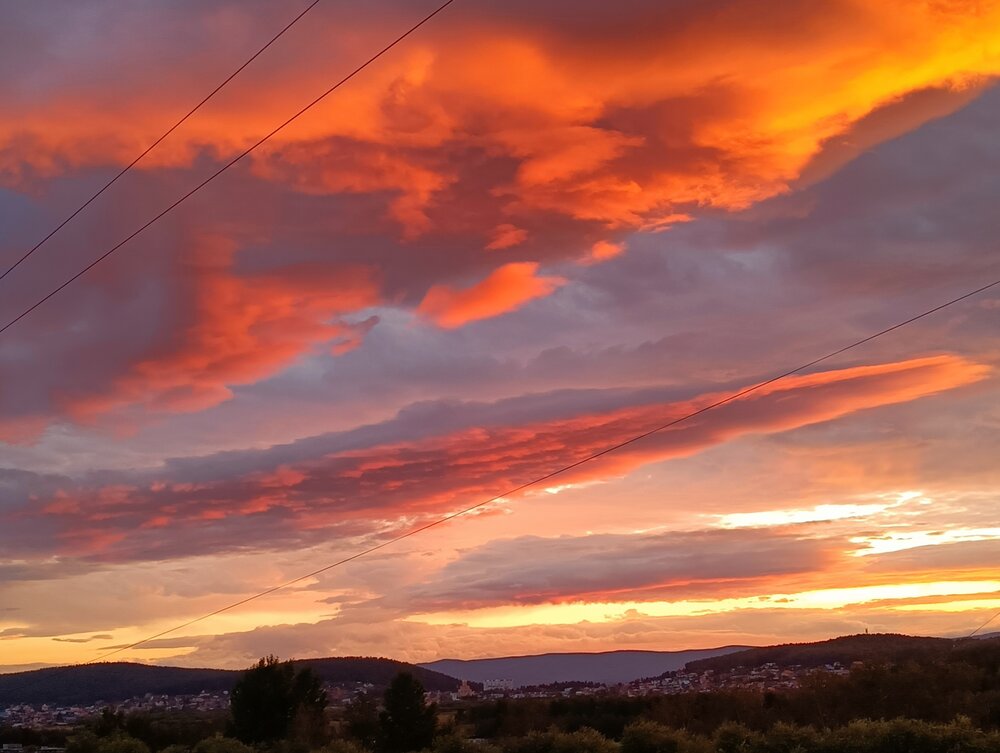 Photo #14003558