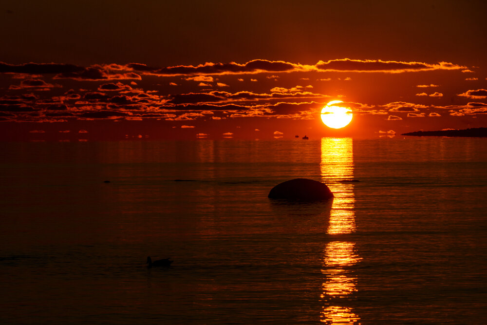 Photograph by Владимир Рогулькин