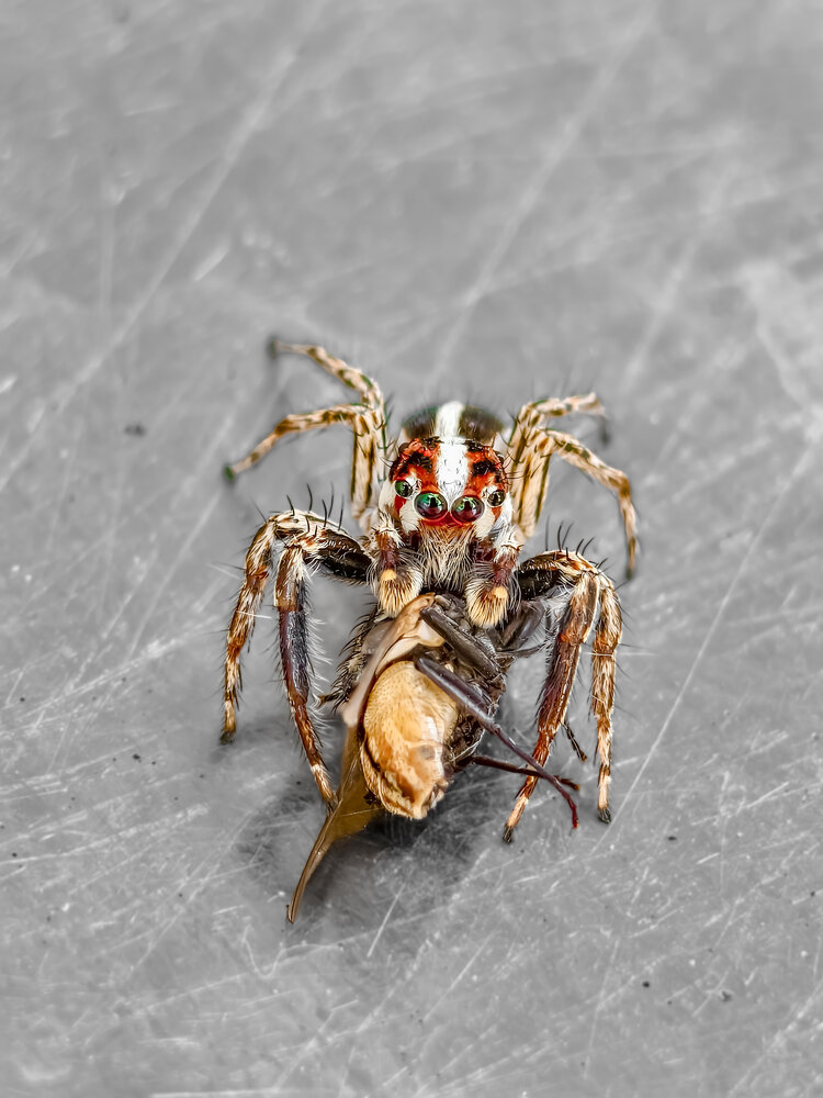 Photograph by Aadhisakthi Srinivasan