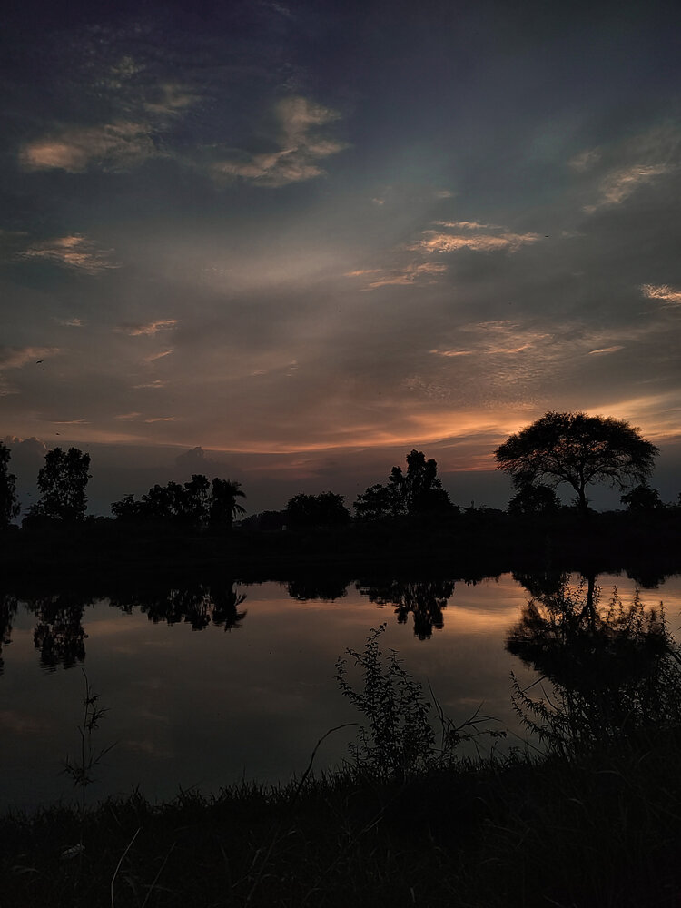 Photo #14003680