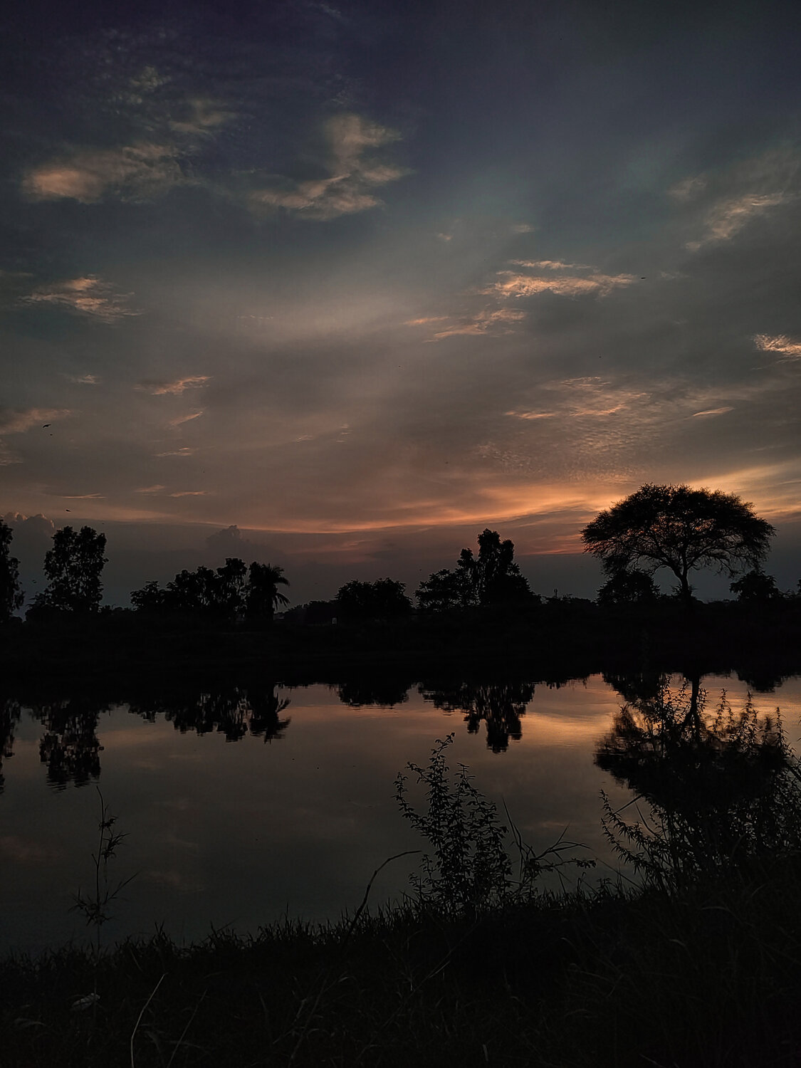 Photo #14003680
