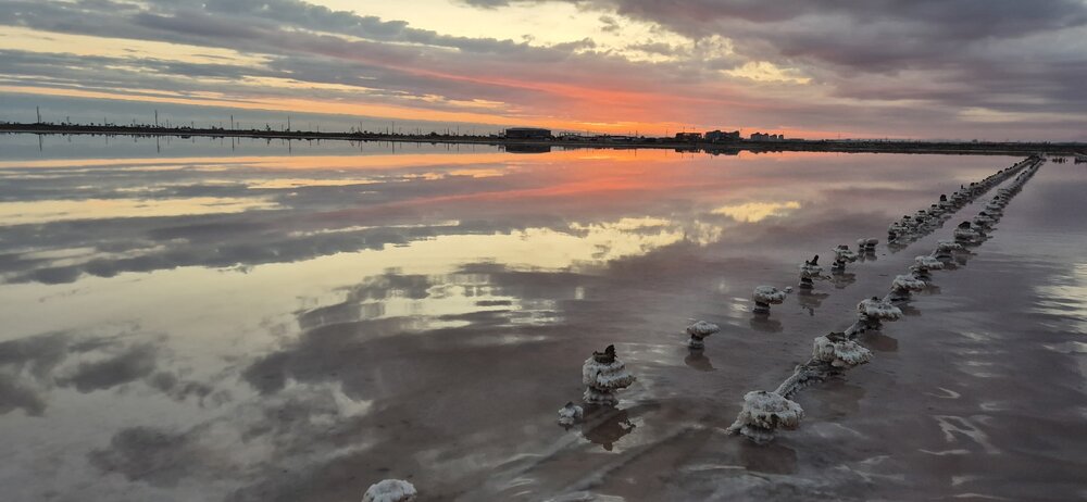 Photograph by Ольга Мусина
