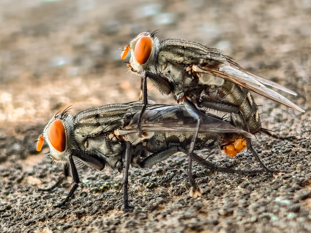 Photograph by Aadhisakthi Srinivasan