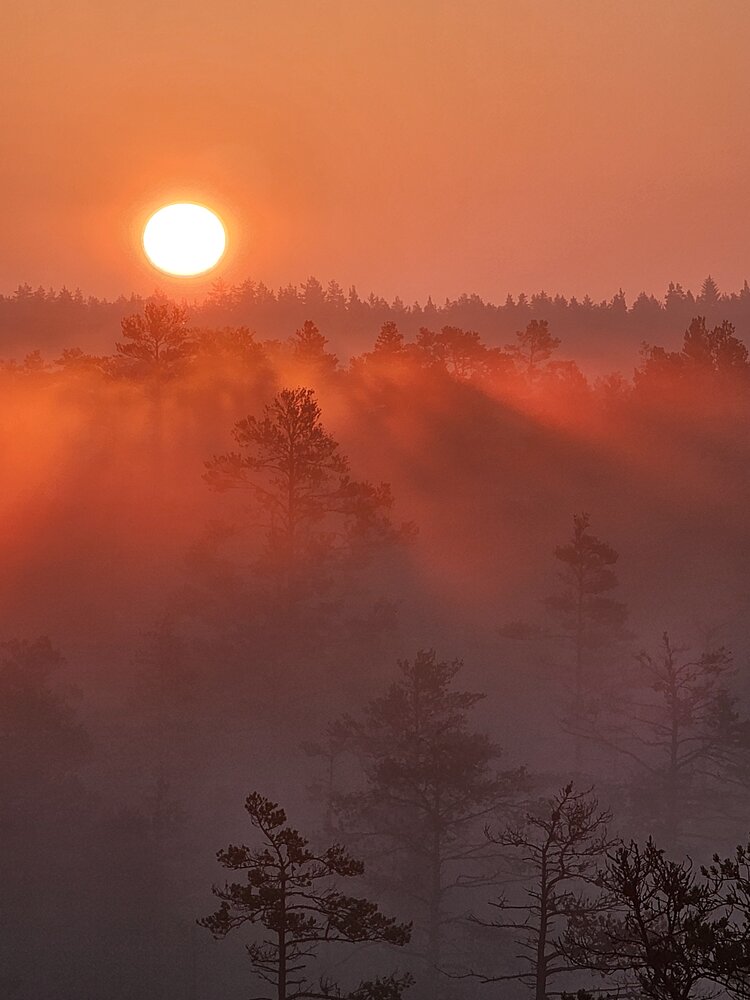 Photograph by Elena Neprosh