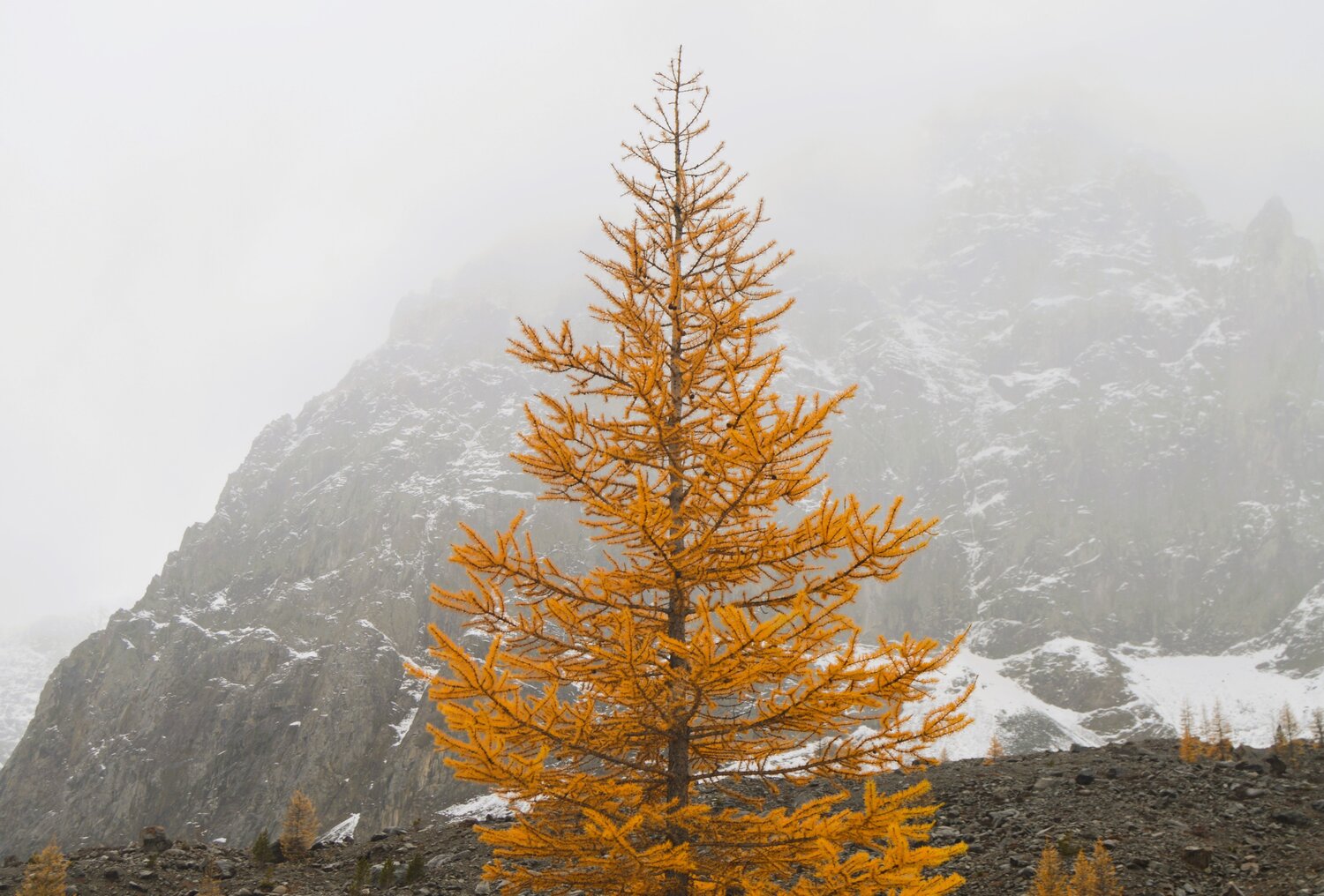 Photo #14003884