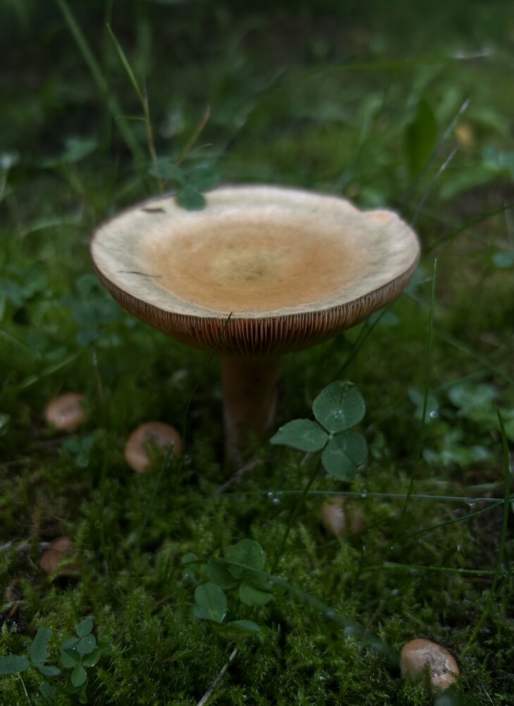 Photograph by Татьяна Белова