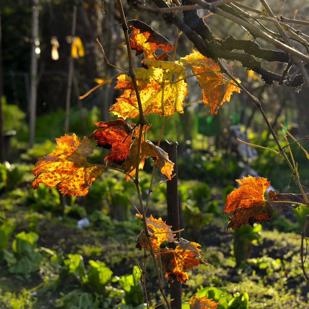 Photograph by NIKOLAY GORBUNOV