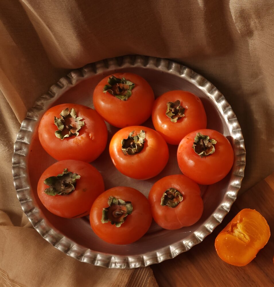 Photograph by reyhane  khavaninzadeh