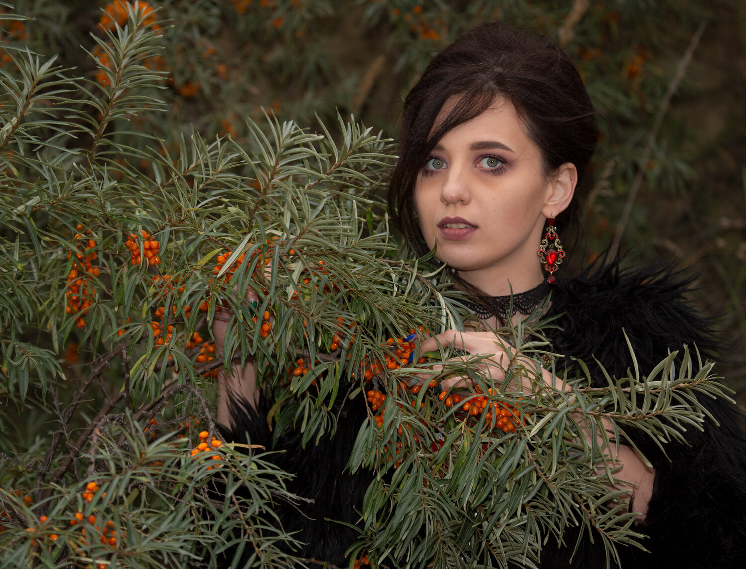 Photo #14004020