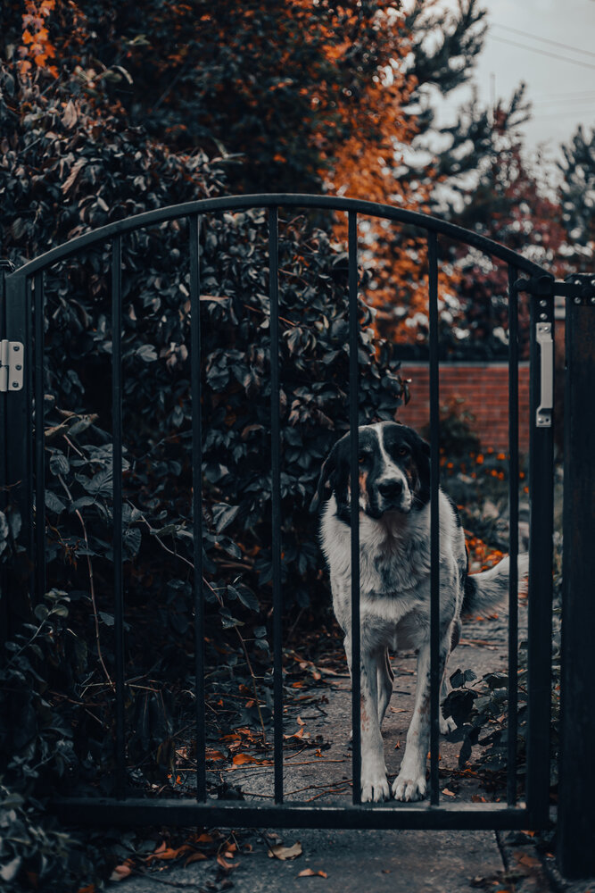 Photograph by Оксана Ланских
