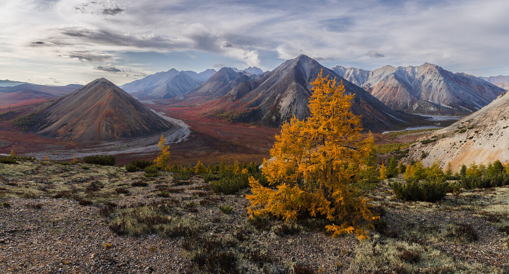 Photograph by Антон Селезнев
