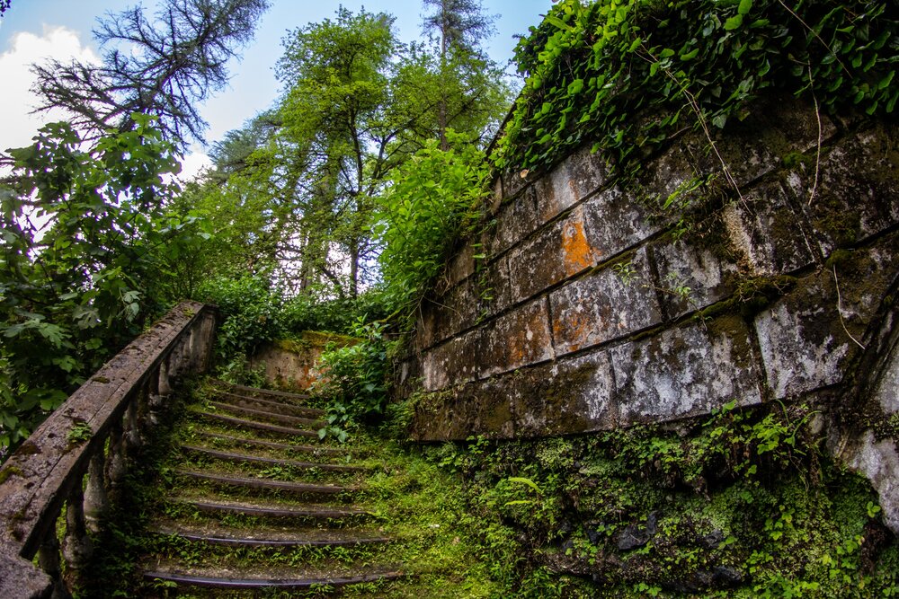 Photograph by Александр Лобынцев