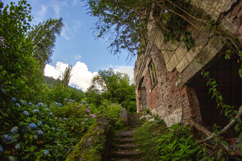 Photograph by Александр Лобынцев
