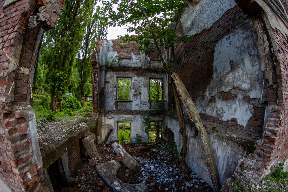 Photograph by Александр Лобынцев