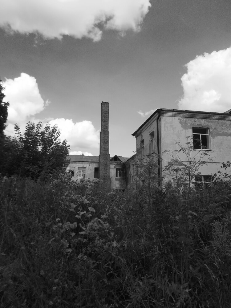 Photograph by Доминик Денисова