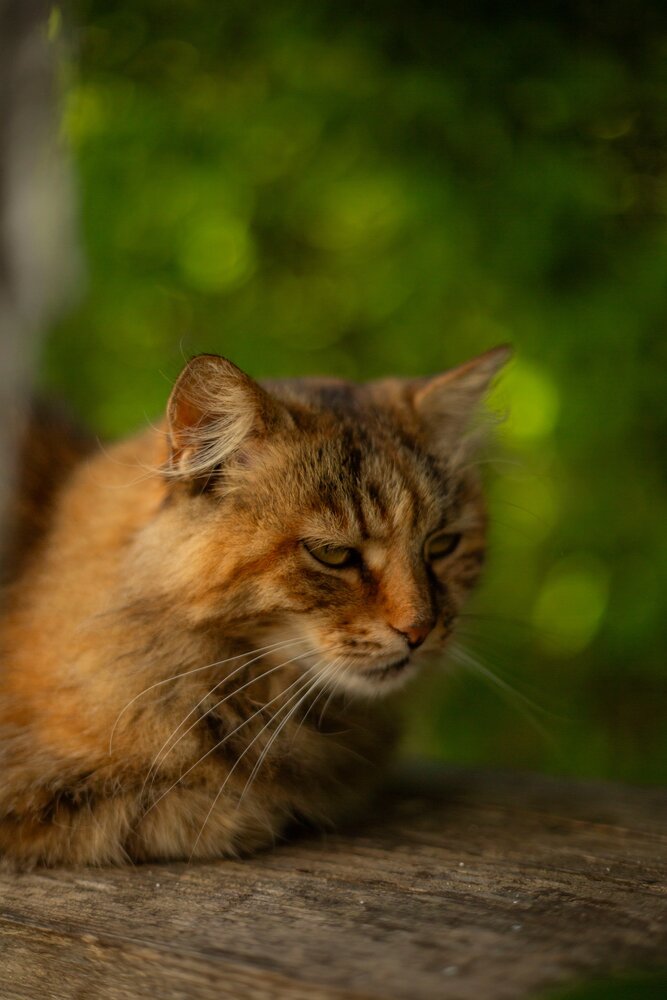 Photograph by Загуменнов Максим