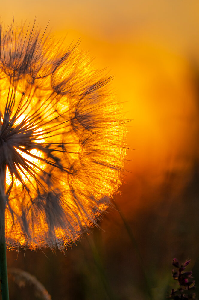Photograph by levi bagy