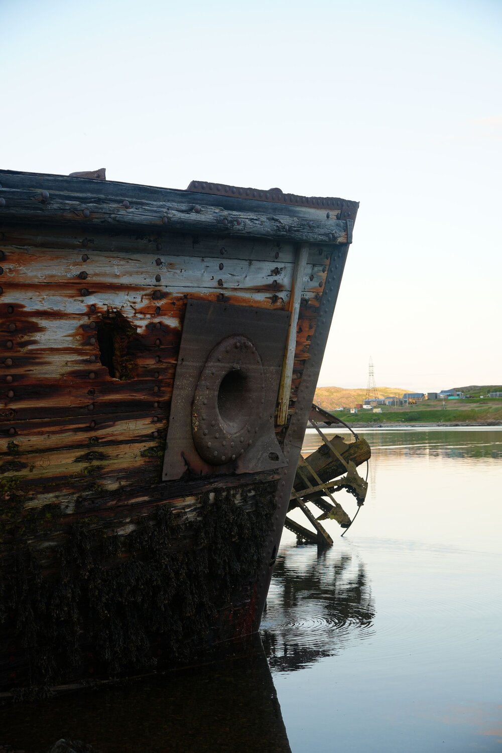 Photo #14004275