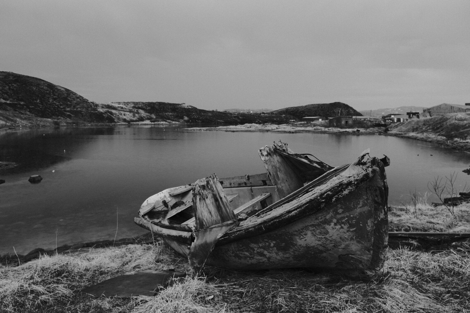 Photo #14004289