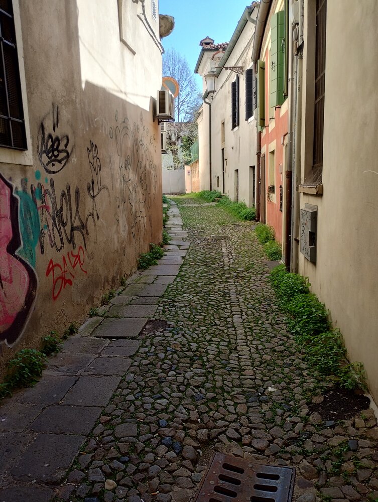 Photo #14004483