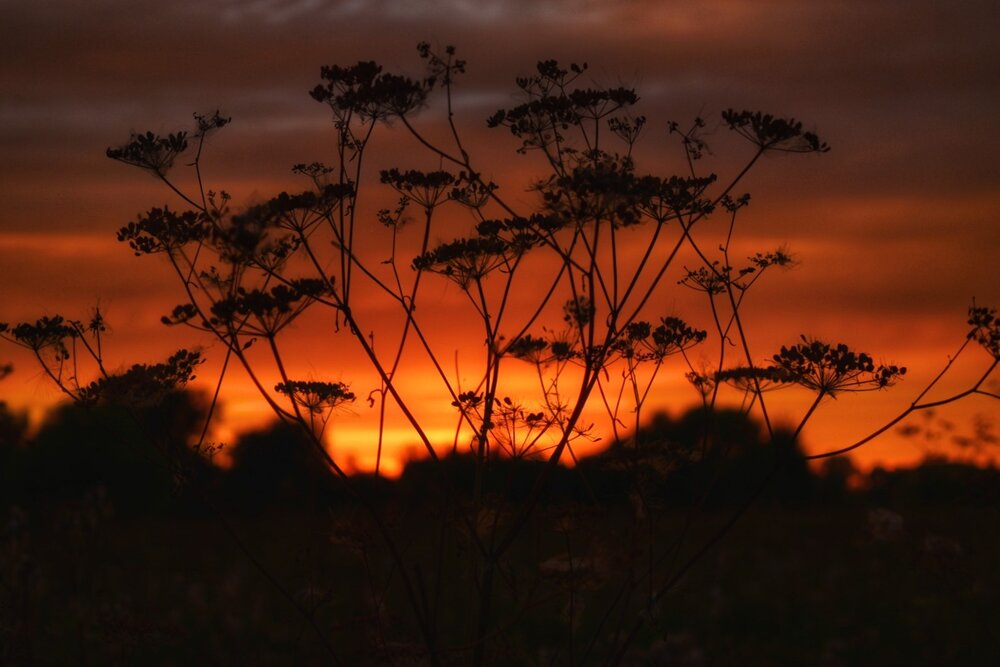 Photograph by Оксана Вадалагина