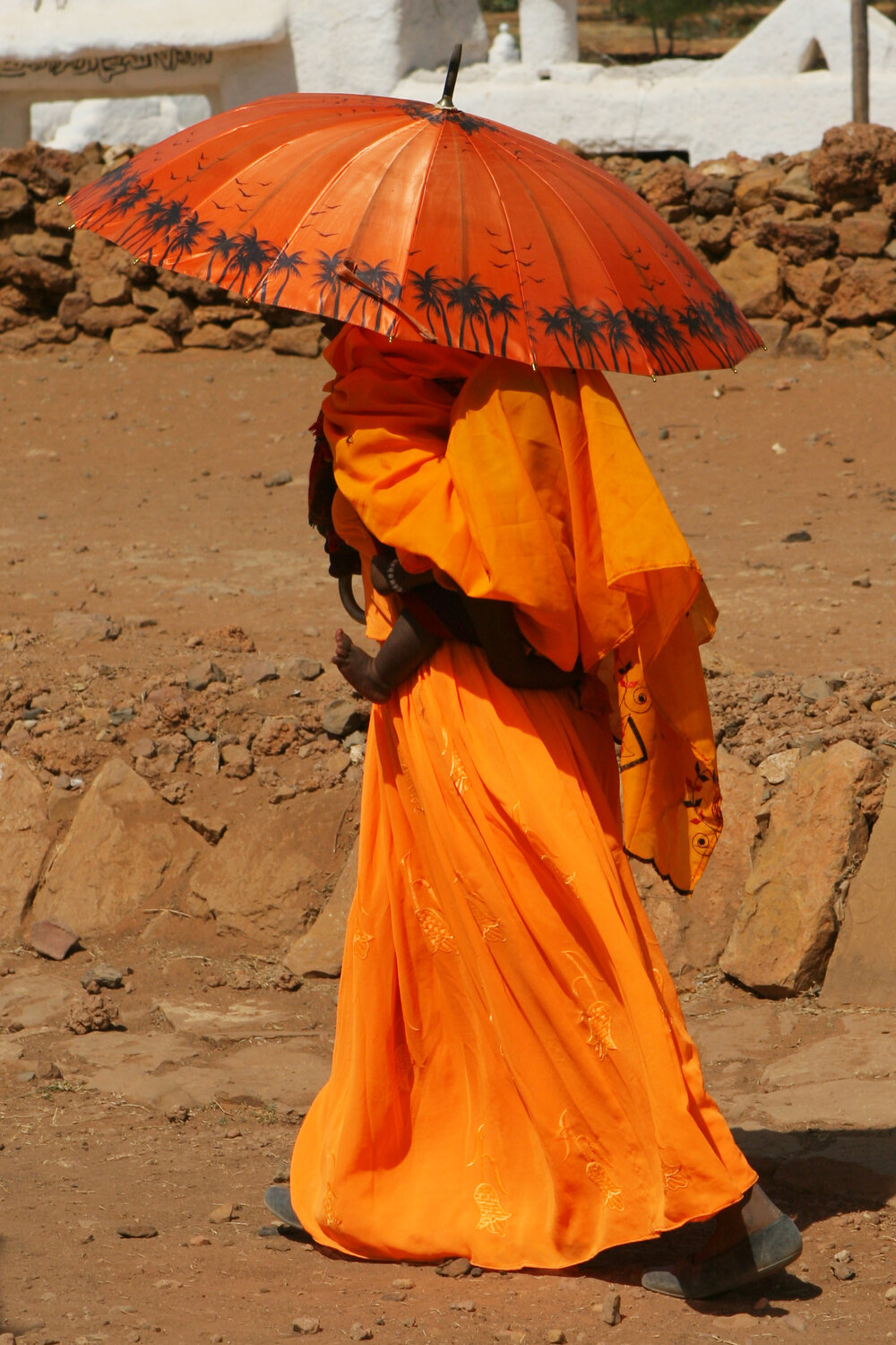 Photo #14004575