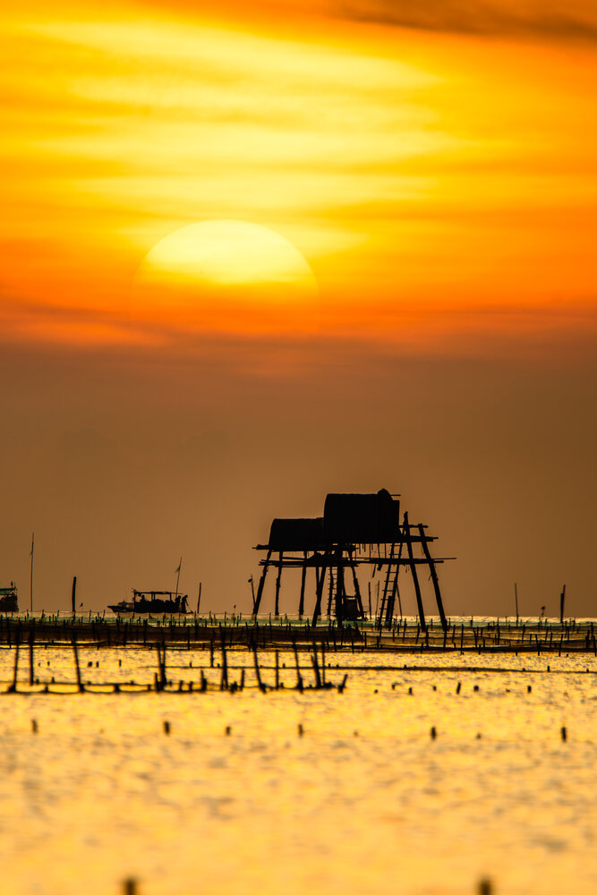 Фотография автора Bùi Nguyễn