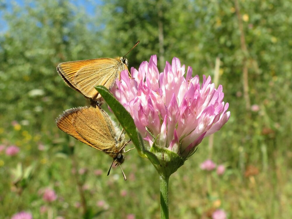 Photograph by Юлия Огальцева