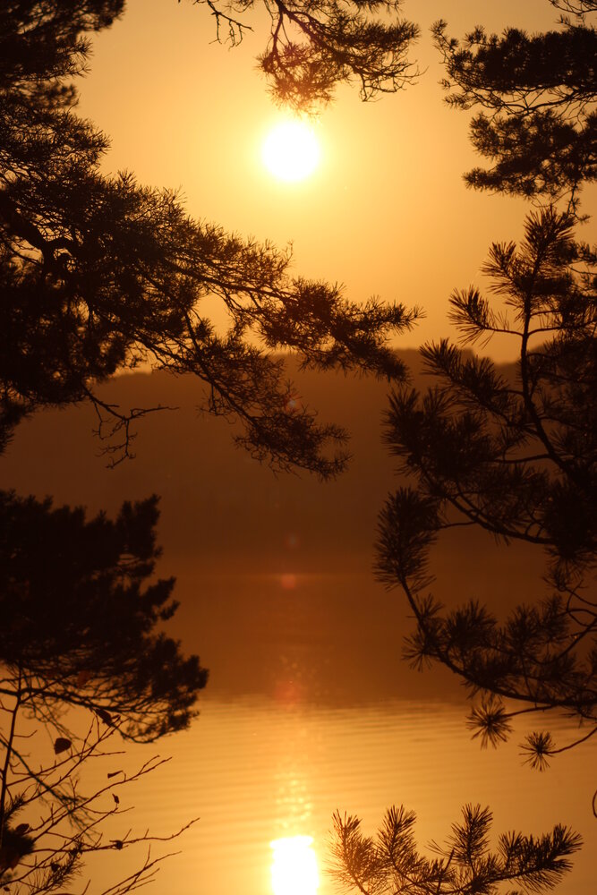 Photograph by Ксения Бешкарева