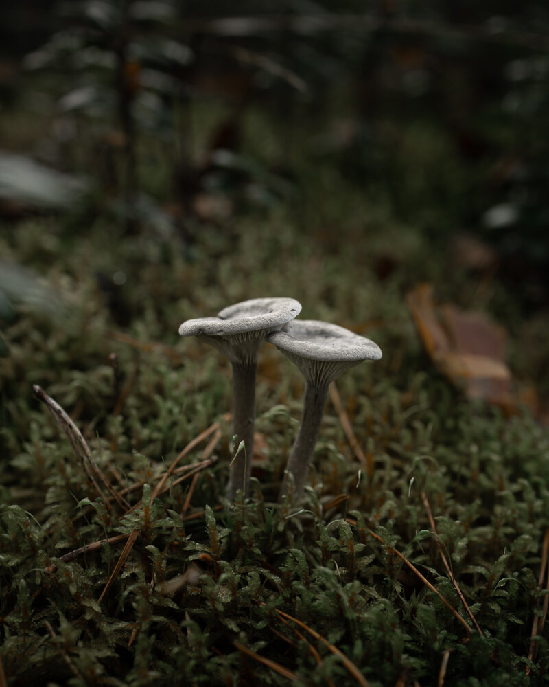 Photograph by Анна Масленникова-Бриль