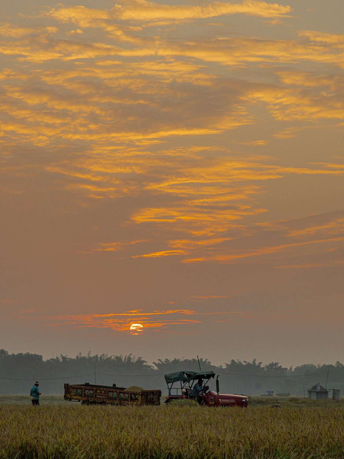 Photo #14004635