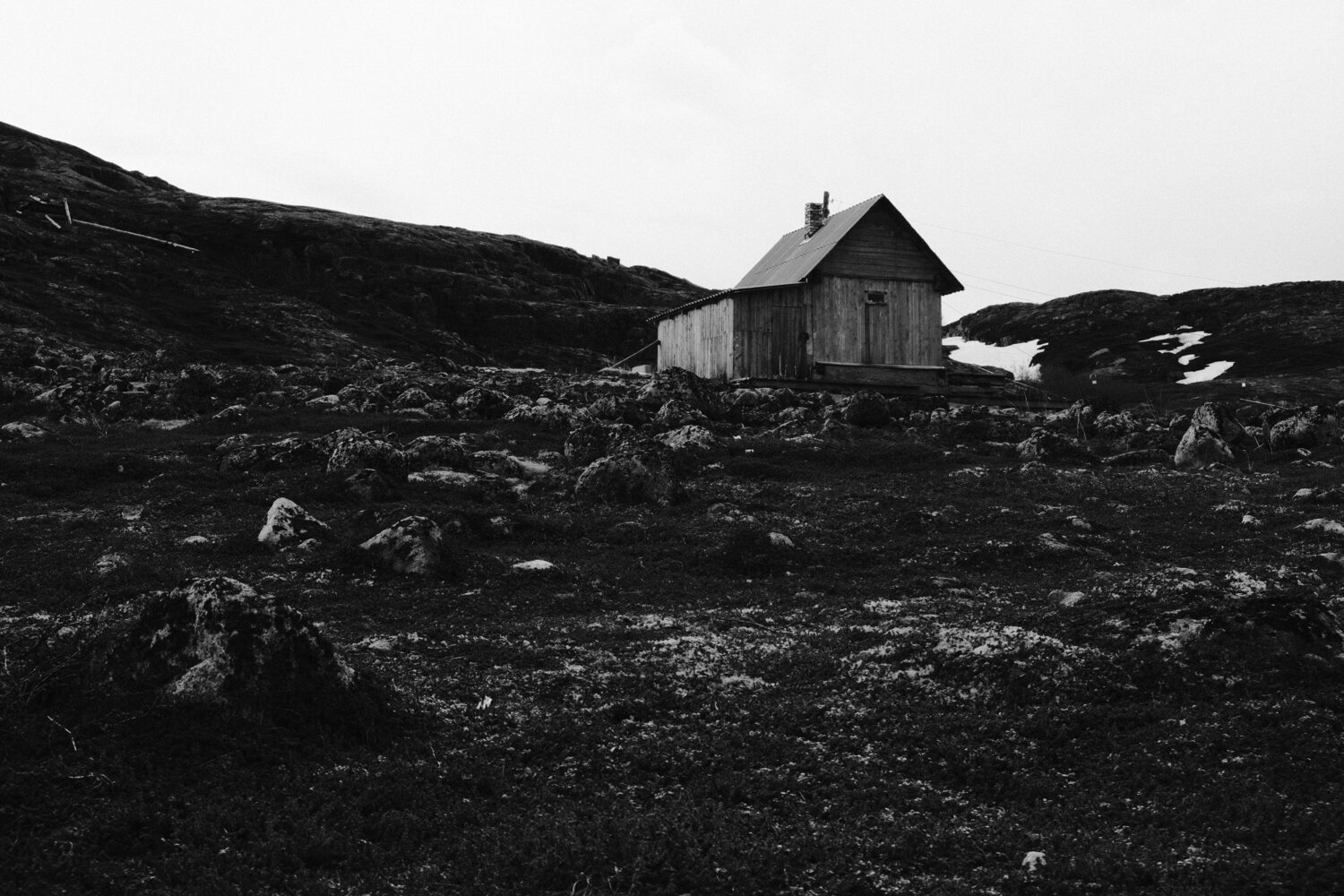 Photo #14004681