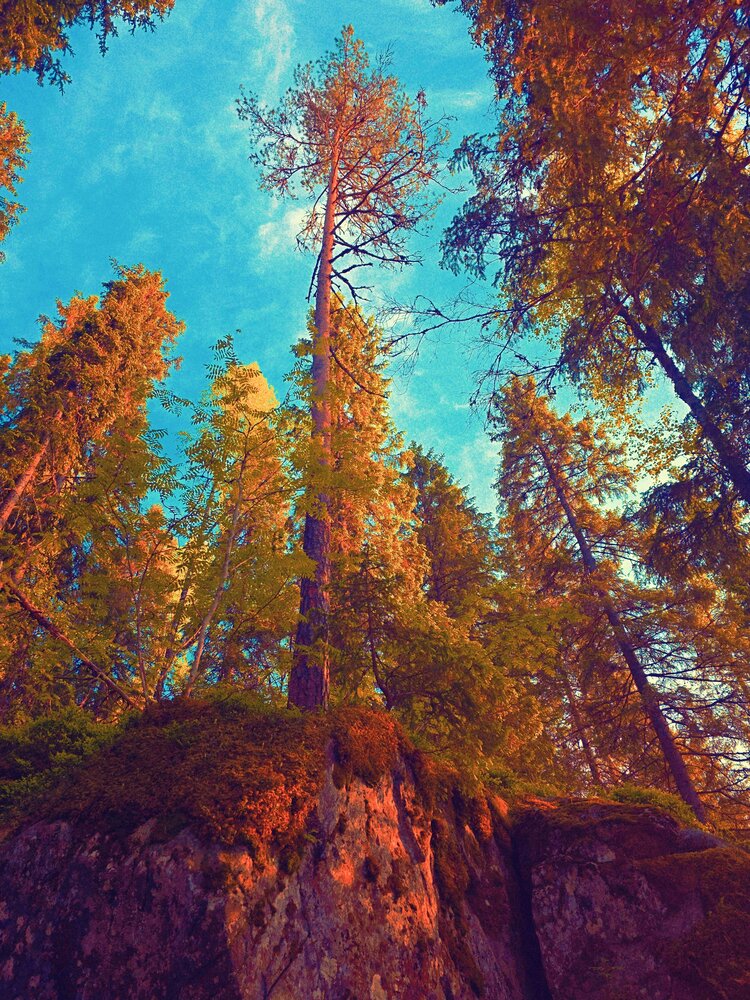 Photograph by Aleksey Kolmakov