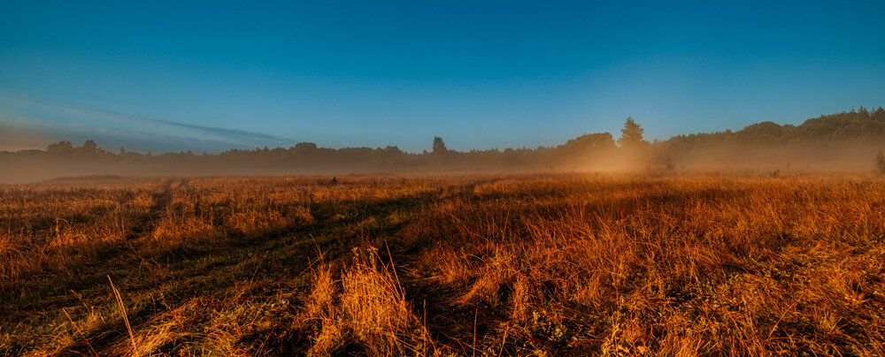 Photograph by Aleksey Kolmakov