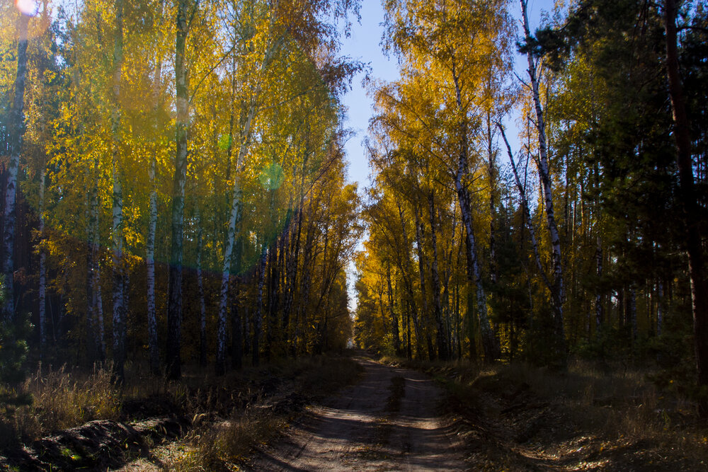 Photograph by Никита Михайлов