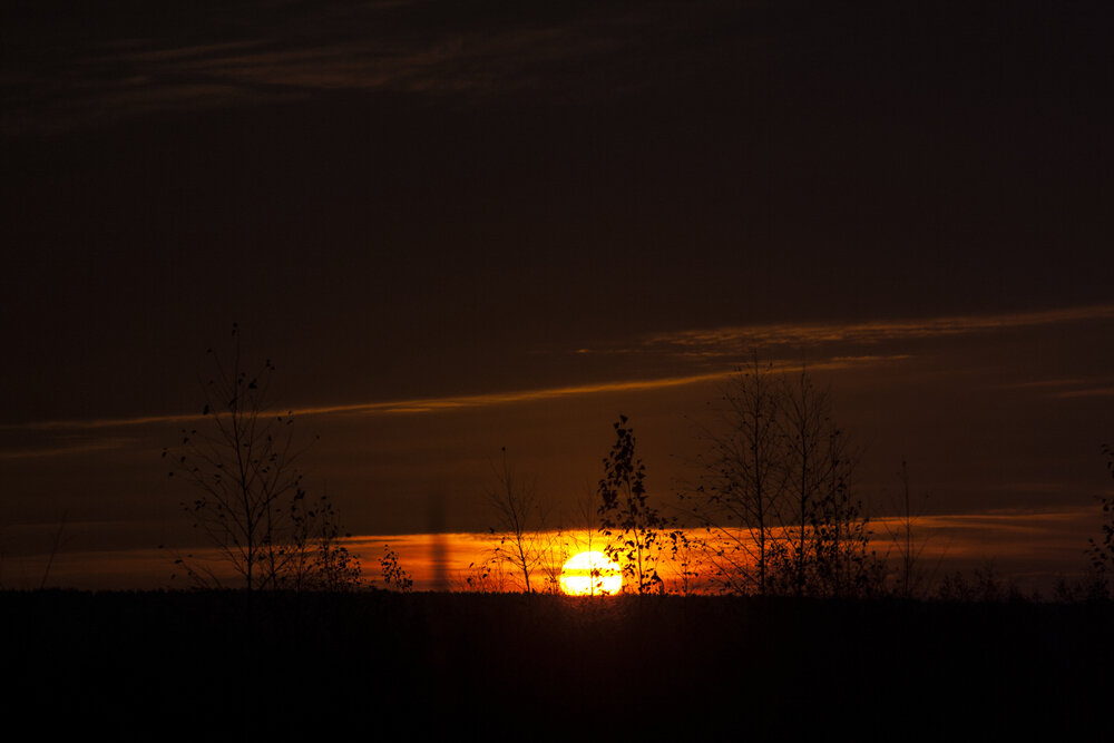Photograph by Никита Михайлов