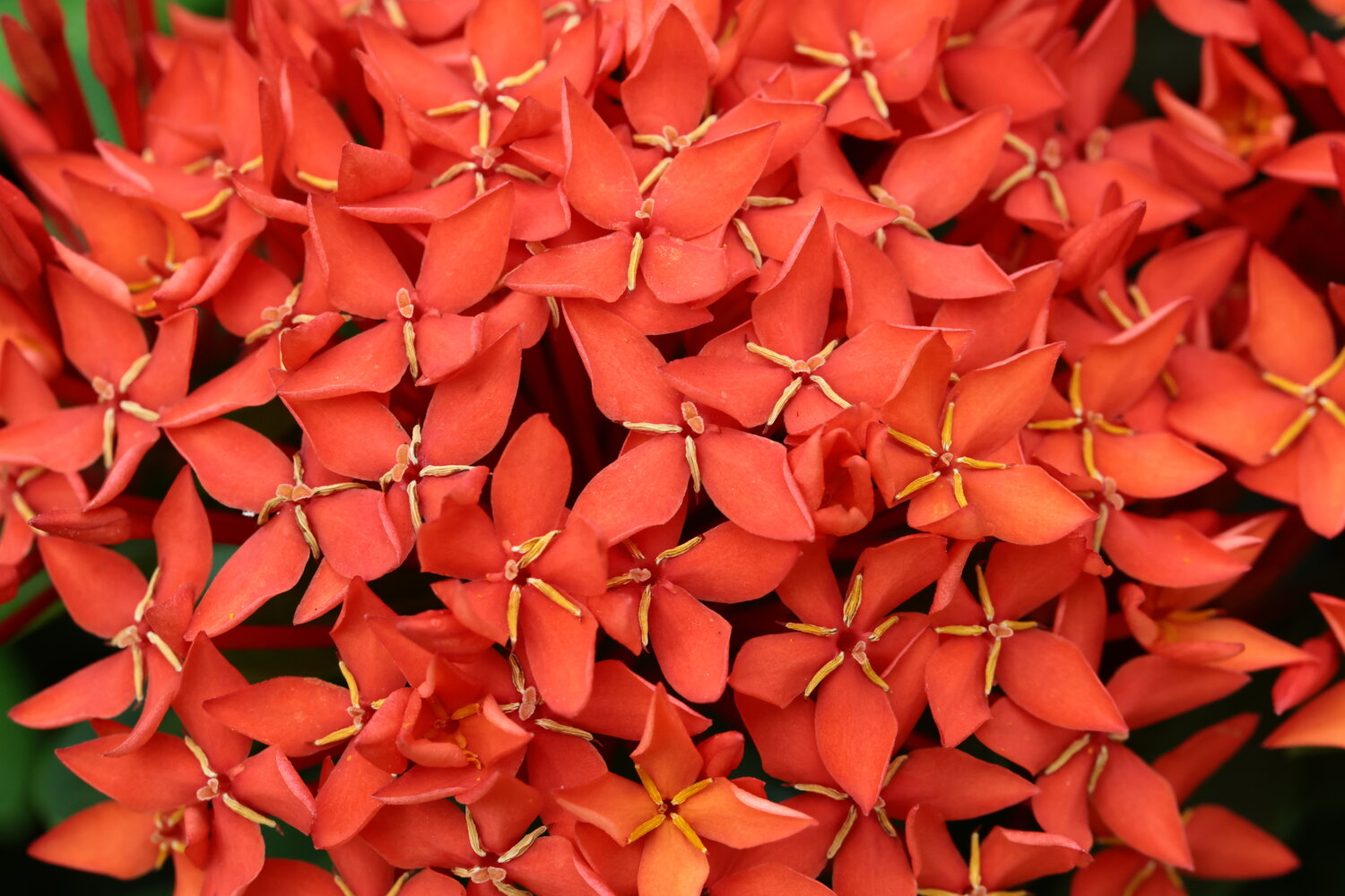 Photo #14004847