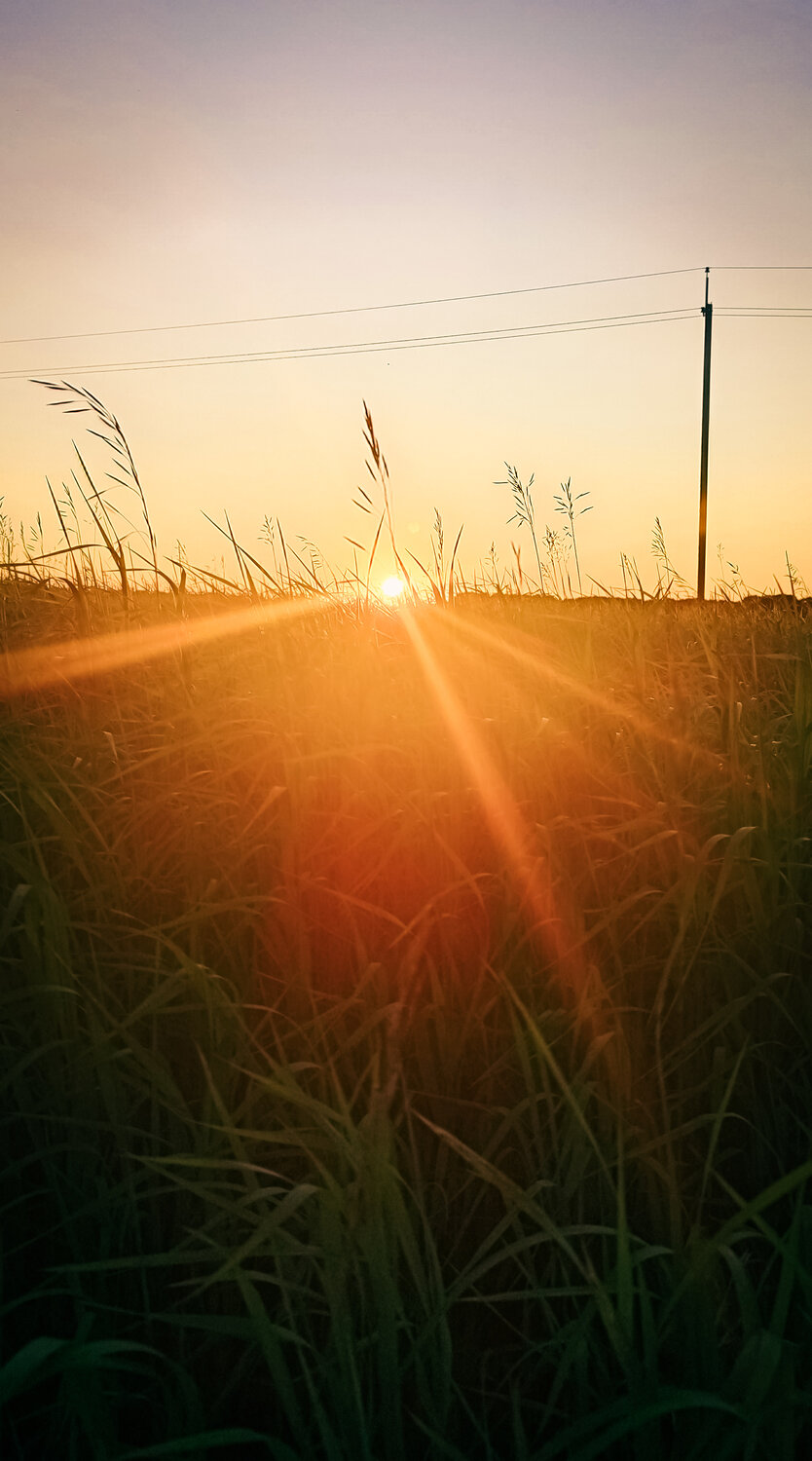 Photo #14004880