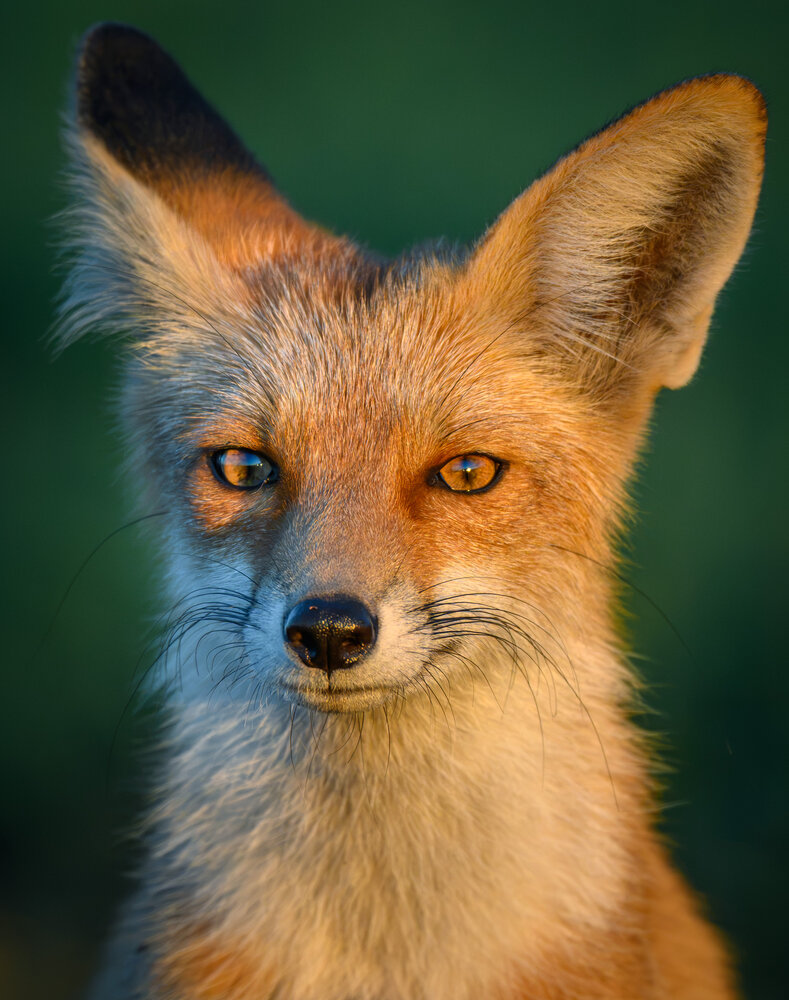 Photograph by Вячеслав Ладанов