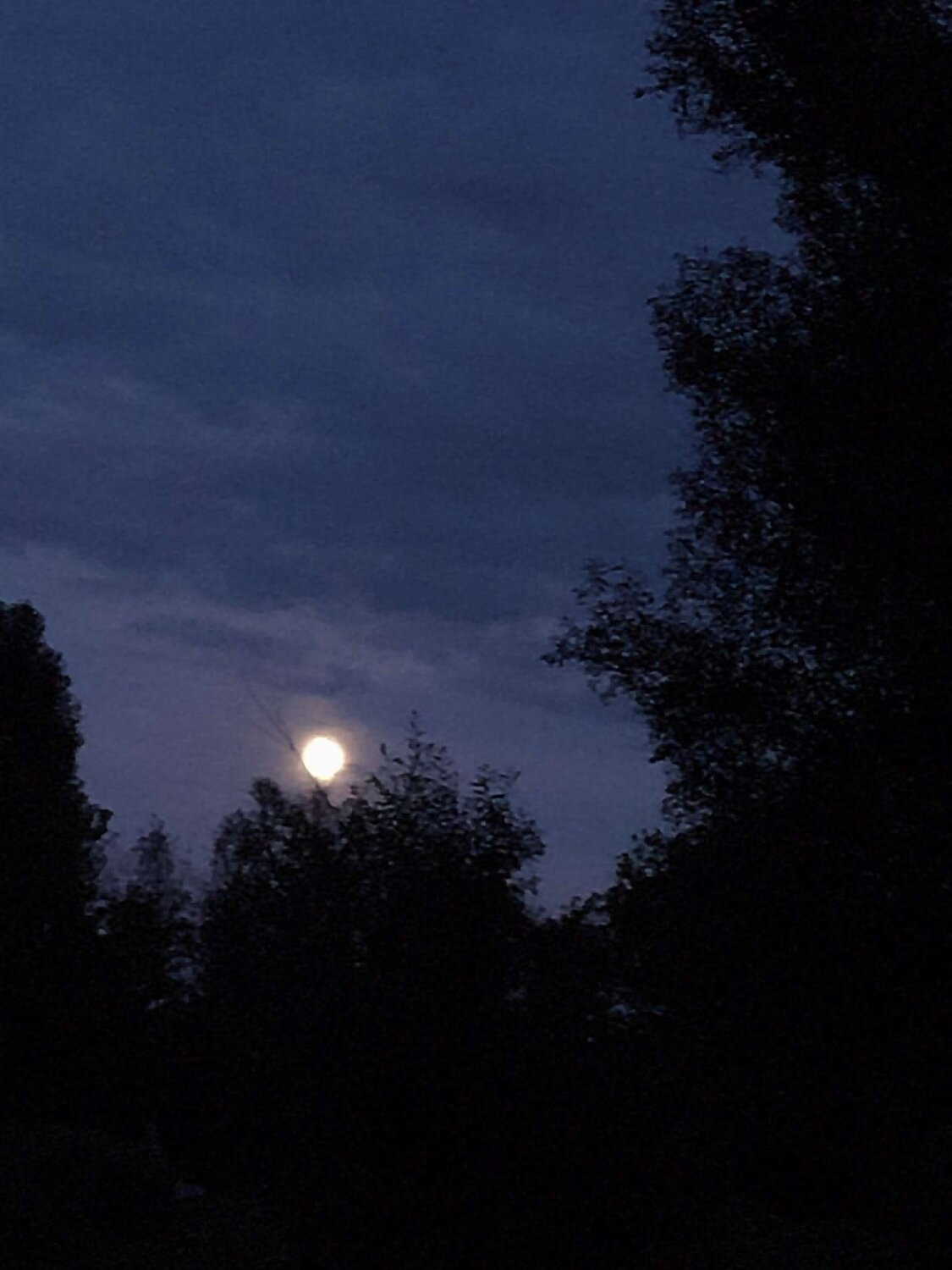 Photo #14004974