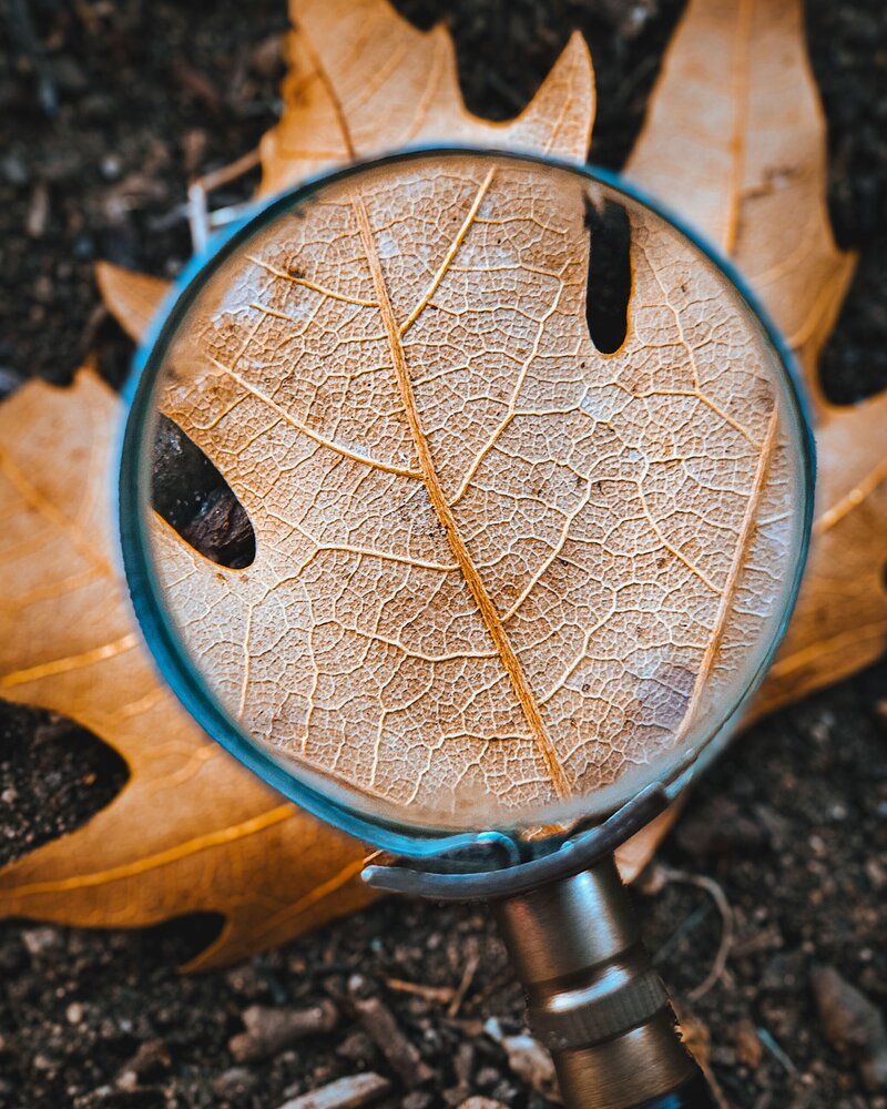 Photograph by Alexandra Sergeeva