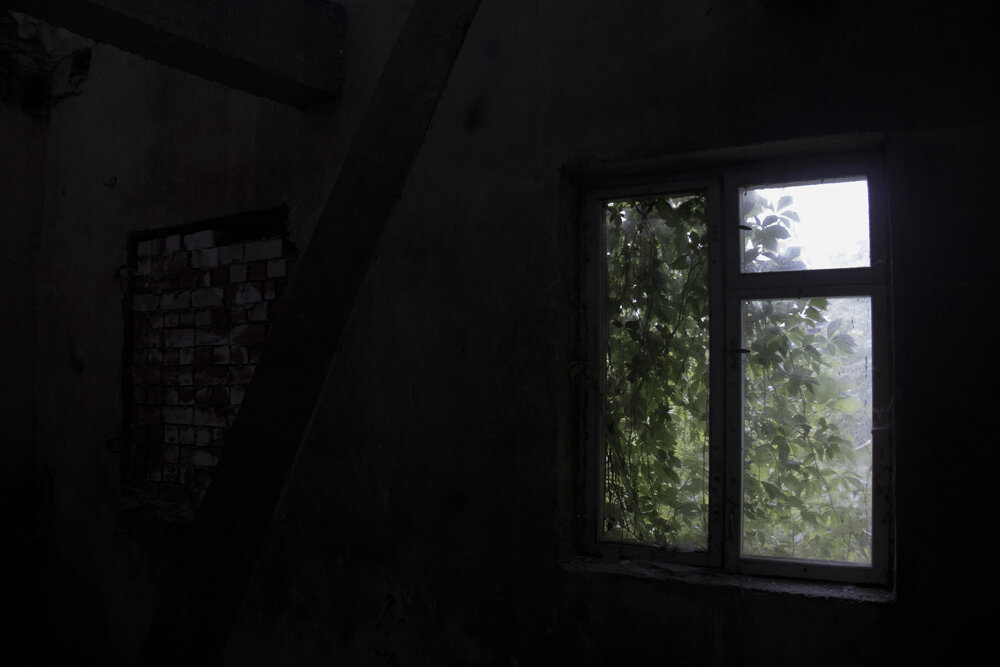 Photograph by Никита Михайлов