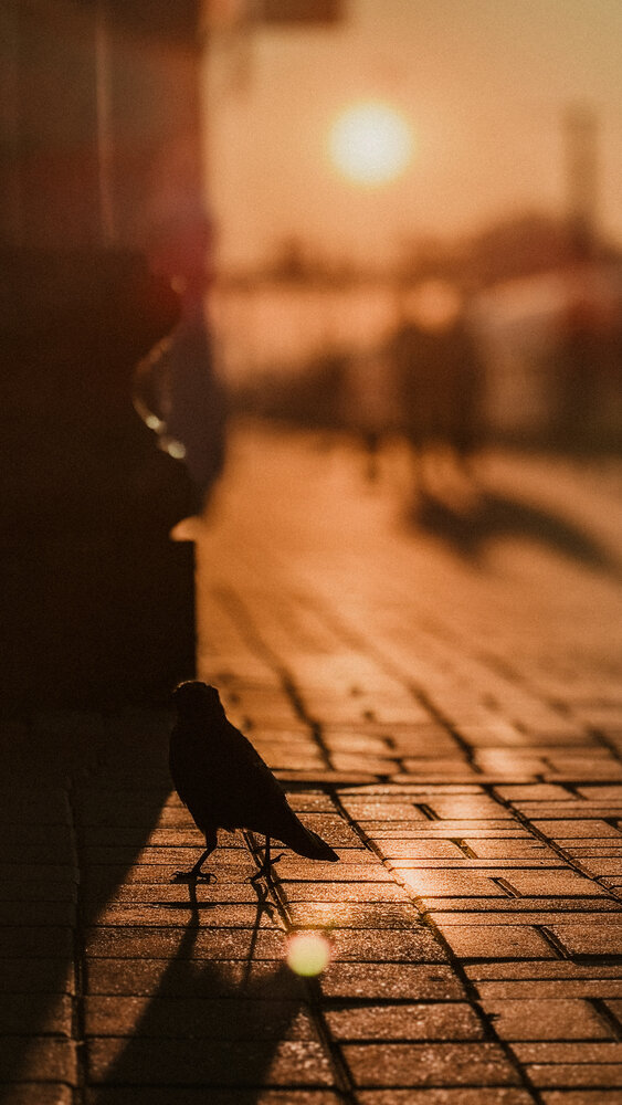 Photograph by Татьяна Селюк