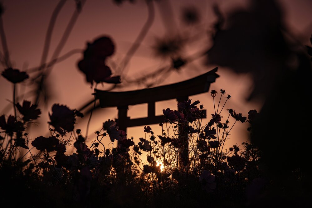 Photograph by Iwamoto Reina