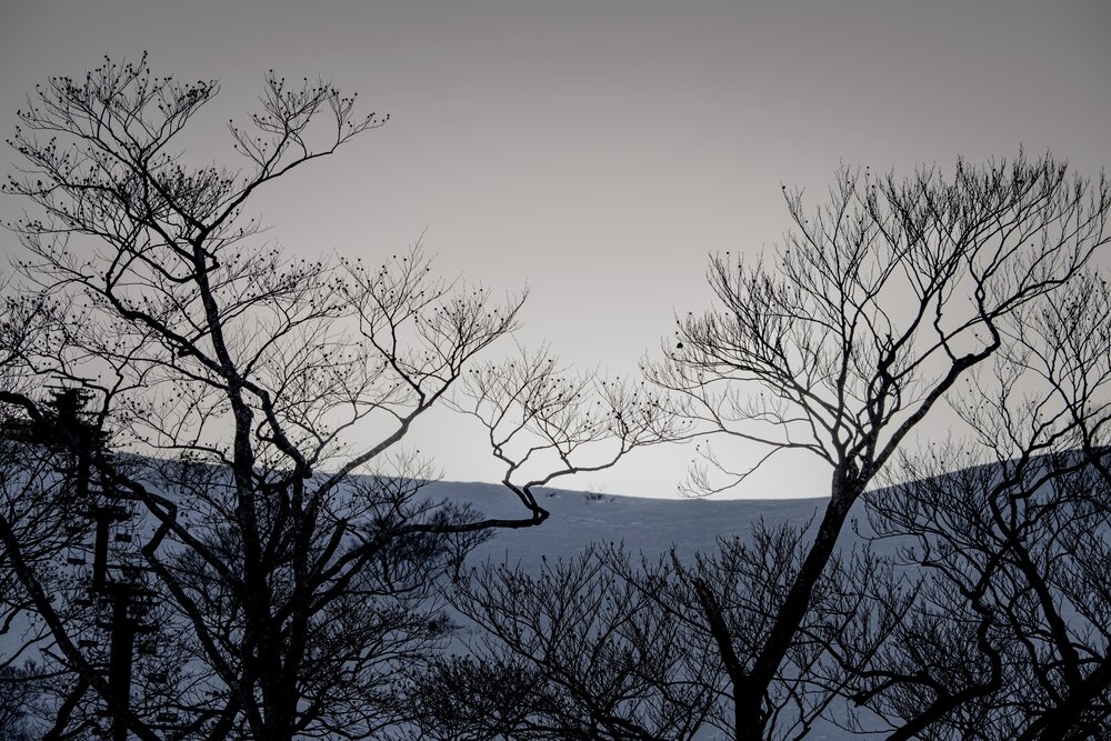 Photograph by Iwamoto Reina