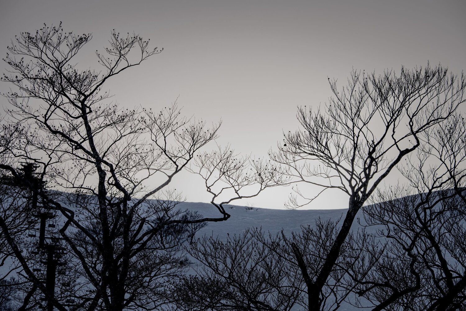 Photo #14005239