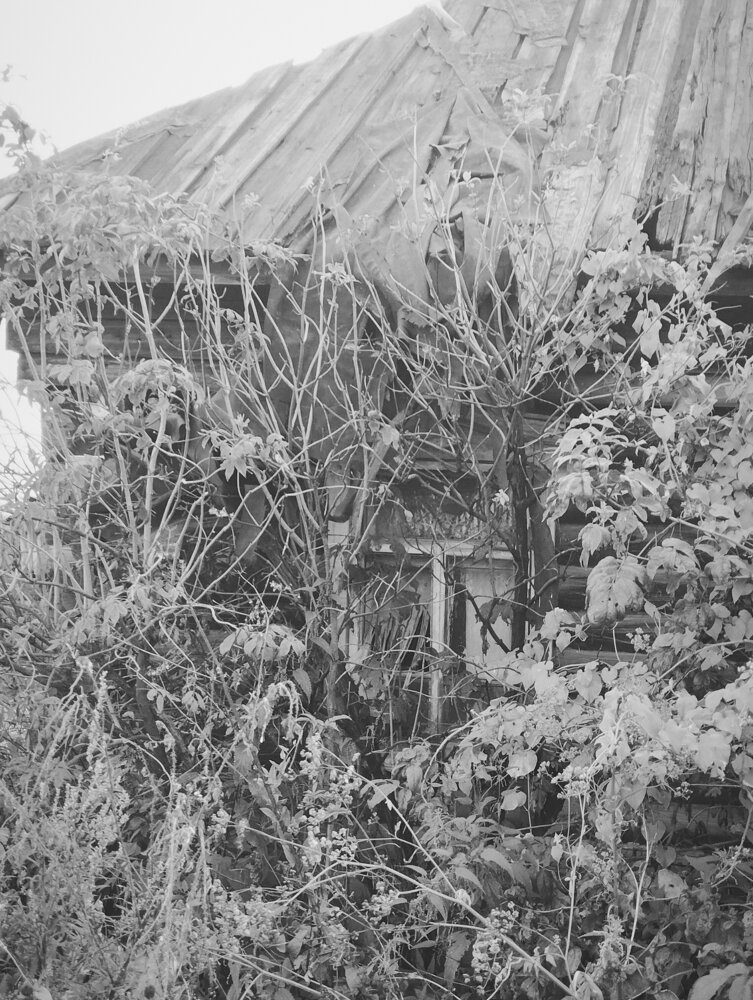 Photo #14005266