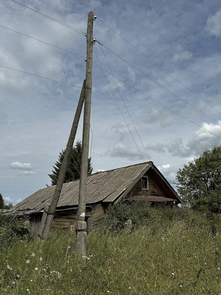 Фотография автора Анастасия Мышкина