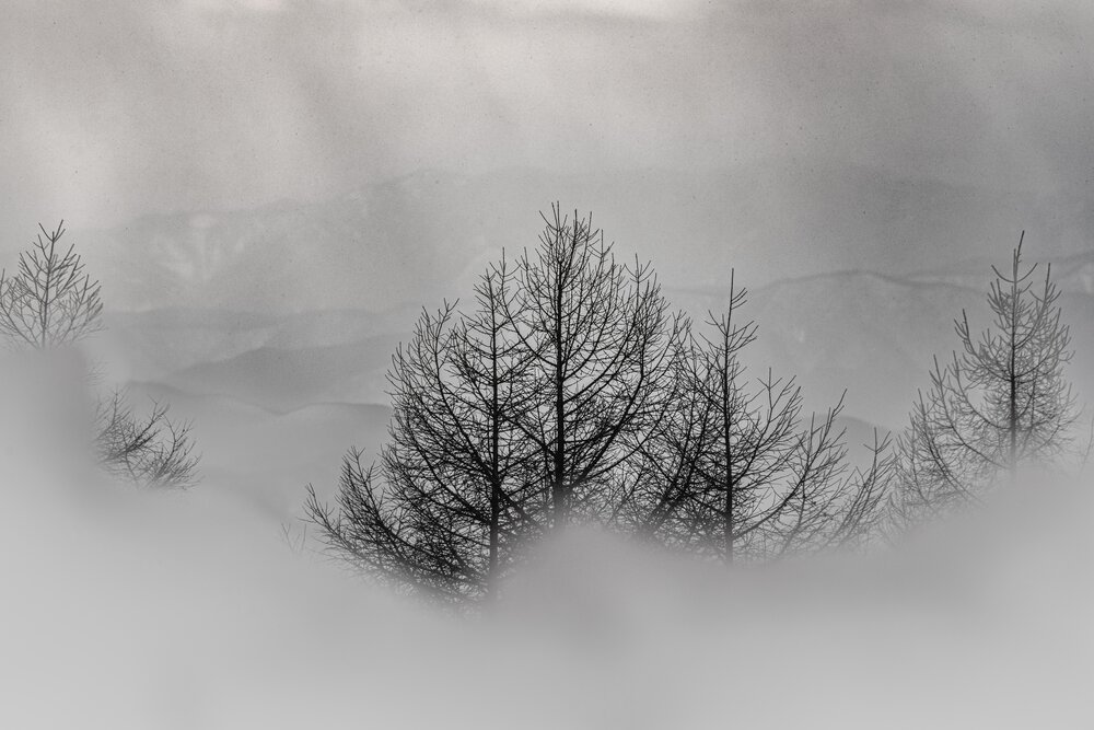 Photograph by Iwamoto Reina