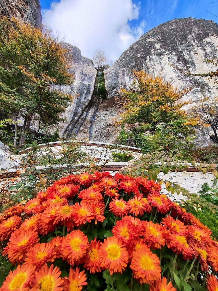 Photograph by Наталья Прекрасная